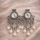 Chic & Stylish Earrings